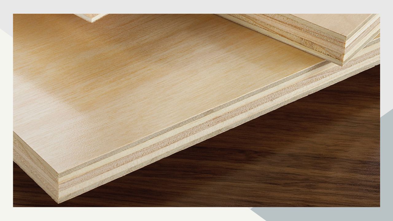 √ Plywood Price List and Size in Philippines 2024