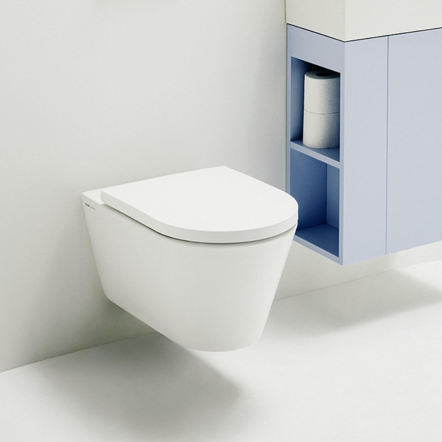 Wall Hung Toilet