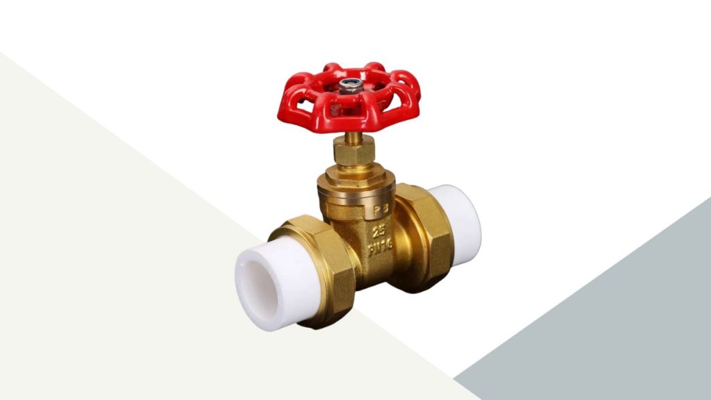 PPR Gate Valve image