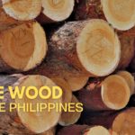 Cover Pine Wood Price Philippines