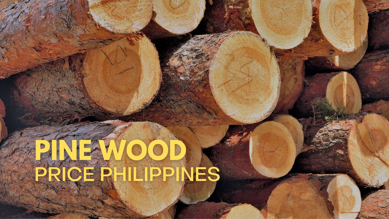 update-pine-wood-price-philippines-2024